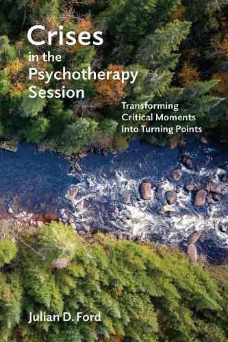 Cover image for Crises in the Psychotherapy Session: Transforming Critical Moments into Turning Points