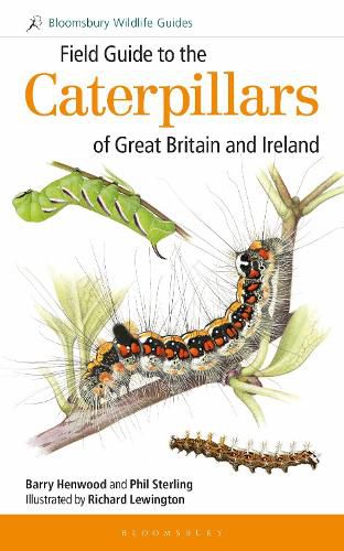 Cover image for Field Guide to the Caterpillars of Great Britain and Ireland