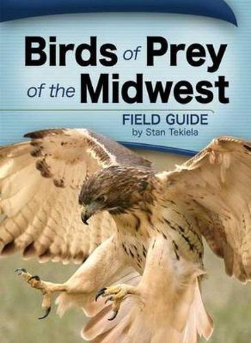 Cover image for Birds of Prey of the Midwest Field Guide
