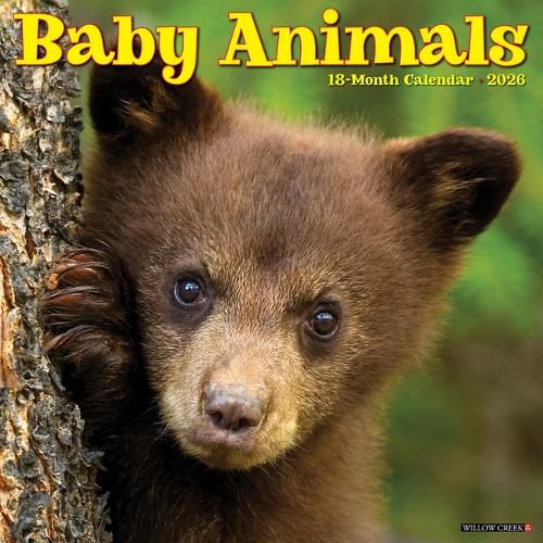 Cover image for Baby Animals 2026 Wall Calendar