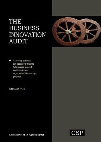 Cover image for The Business Innovation Audit