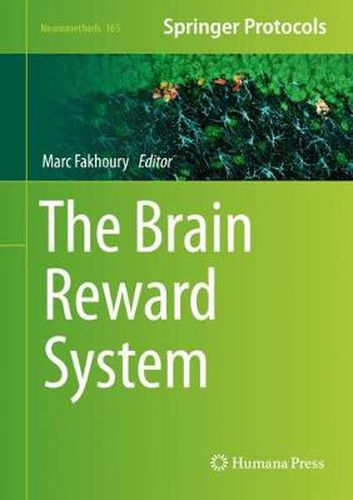 Cover image for The Brain Reward System