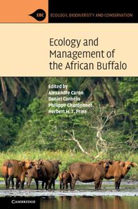 Cover image for Ecology and Management of the African Buffalo