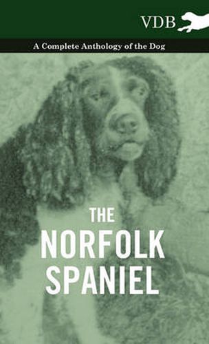 Cover image for The Norfolk Spaniel - A Complete Anthology of the Dog