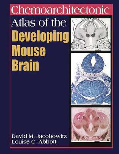 Cover image for Chemoarchitectonic Atlas of the Developing Mouse Brain