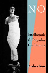 Cover image for No Respect: Intellectuals and Popular Culture