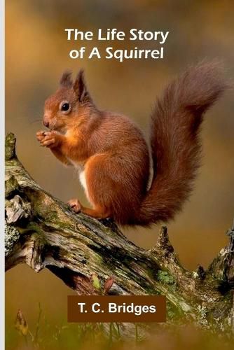 Cover image for The Modern Scottish Minstrel, Volume 1. The Songs of Scotland of the Past Half Century (Edition1)