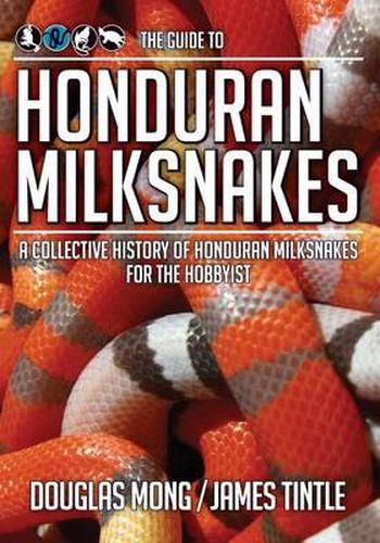 Cover image for The Guide to Honduran Milksnakes: A Collective History of Honduran Milksnakes for the Hobbyist