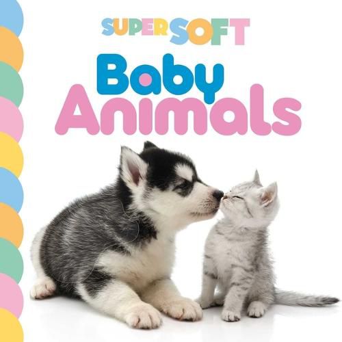 Cover image for Super Soft Baby Animals: Photographic Touch & Feel Board Book