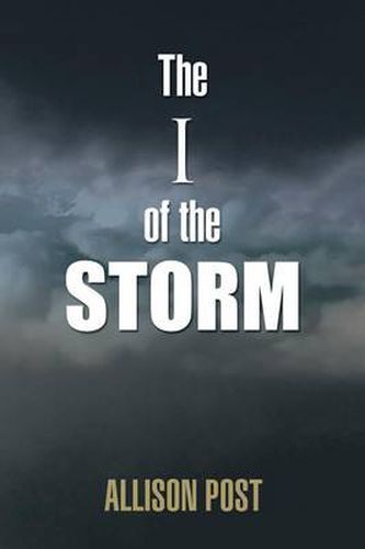 Cover image for The I of the Storm