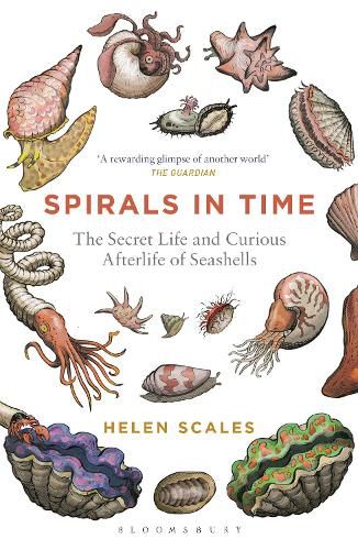 Spirals in Time: The Secret Life and Curious Afterlife of Seashells