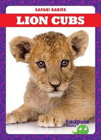 Cover image for Lion Cubs