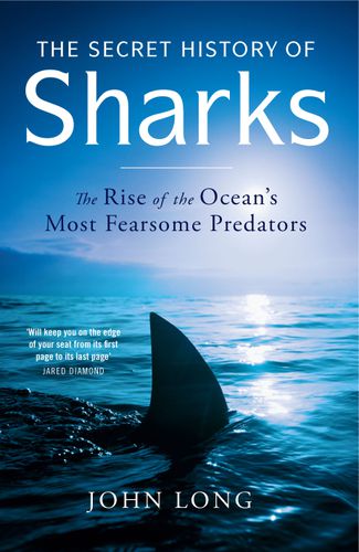 Cover image for The Secret History of Sharks