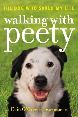 Cover image for Walking with Peety: The Dog Who Saved My Life