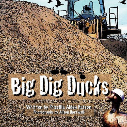 Cover image for Big Dig Ducks