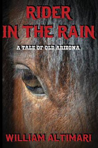 Cover image for Rider in the Rain