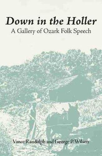 Cover image for Down in the Holler: A Gallery of Ozark Folk Speech