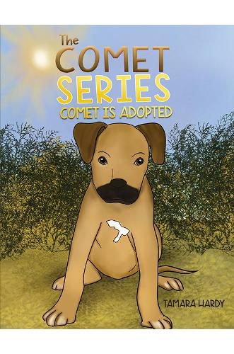 Cover image for The Comet Series: Comet Is adopted