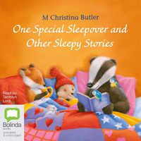 Cover image for One Special Sleepover