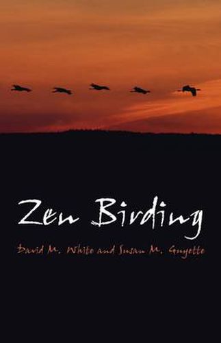 Cover image for Zen Birding - Connect In Nature