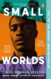 Cover image for Small Worlds