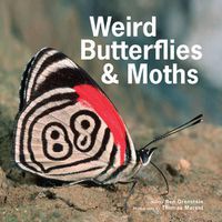 Cover image for Weird Butterflies and Moths