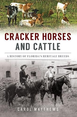 Cover image for Cracker Horses and Cattle