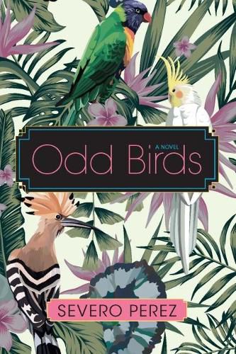 Cover image for Odd Birds