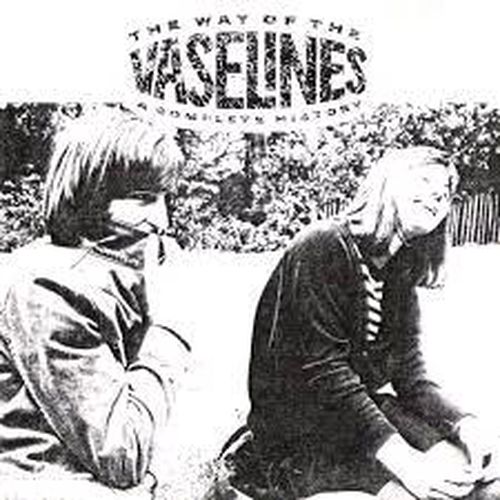 The Way Of The Vaselines  A Complete History
