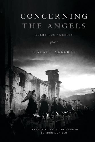 Cover image for Concerning the Angels