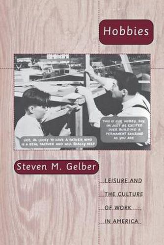 Cover image for Hobbies: Leisure and the Culture of Work in America