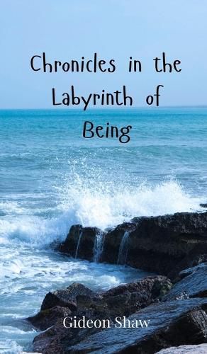 Cover image for Chronicles in the Labyrinth of Being