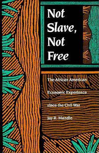 Cover image for Not Slave, Not Free: The African American Economic Experience Since the Civil War