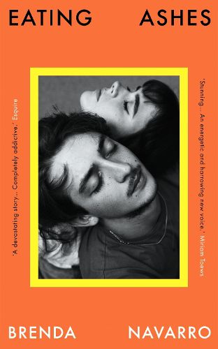 Cover image for Eating Ashes