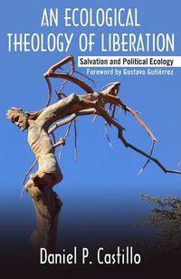 Cover image for An Ecological Theology of Liberation: Salvation and Political Ecology