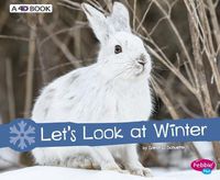 Cover image for Let's Look at Winter: A 4D Book