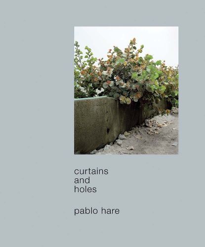 Cover image for Curtains and Holes