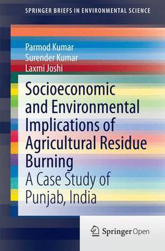 Cover image for Socioeconomic and Environmental Implications of Agricultural Residue Burning: A Case Study of Punjab, India