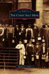 Cover image for Carey Salt Mine