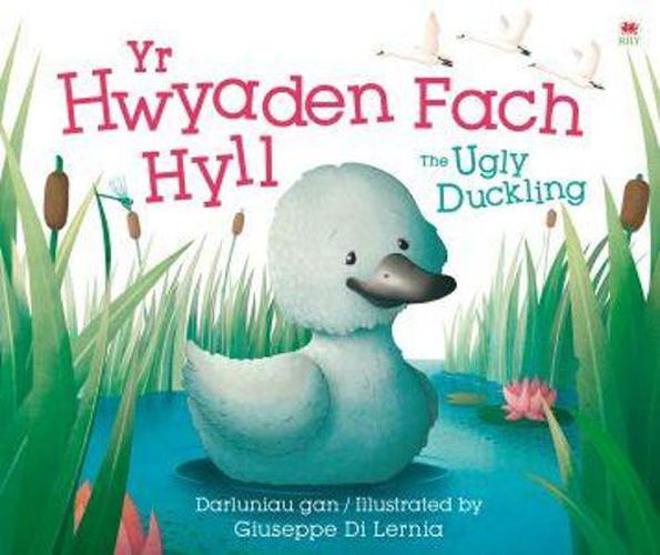 Cover image for Hwyaden Fach Hyll, Yr / The Ugly Duckling