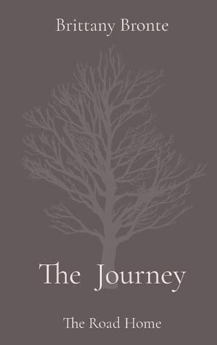 Cover image for The Journey: The Road Home