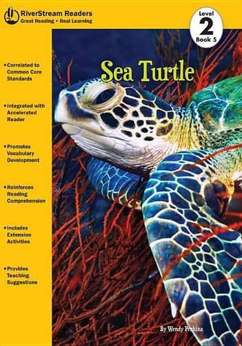Cover image for Sea Turtle