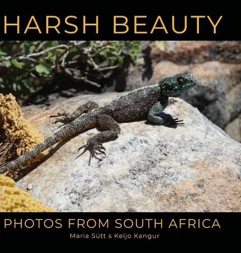 Cover image for Harsh Beauty