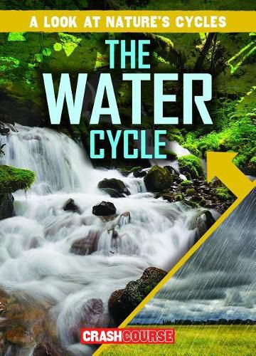 Cover image for The Water Cycle