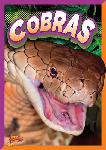 Cover image for Cobras