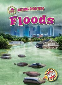 Cover image for Floods