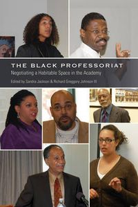Cover image for The Black Professoriat: Negotiating a Habitable Space in the Academy