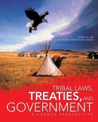 Cover image for Tribal Laws, Treaties, and Government