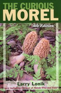 Cover image for The Curious Morel