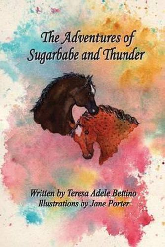 Cover image for The Adventures of Sugarbabe and Thunder